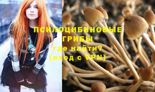 стафф Богородицк