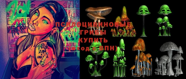 стафф Богородицк