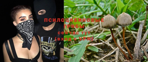 стафф Богородицк