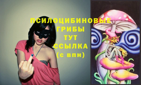 таблы Богданович