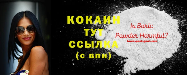 стафф Богородицк