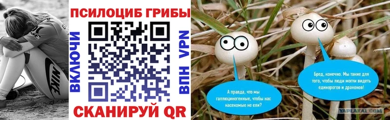 Купить Вилючинск Псилоцибиновые грибы MAGIC MUSHROOMS